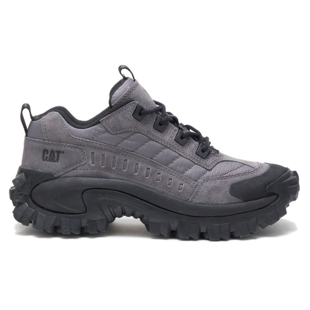 CAT Intruder Women's Sneakers Grey (AU S-026) Australia
